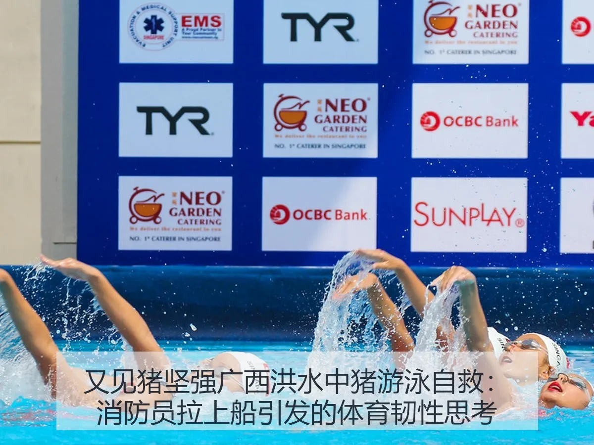 又见猪坚强广西洪水中猪游泳自救：消防员拉上船引发的体育韧性思考